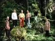 Immagine di Sinkadus