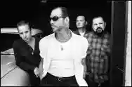 Immagine di Social Distortion