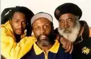 Immagine di Steel Pulse