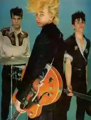 Immagine di Stray Cats