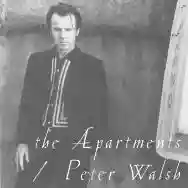 Immagine di The Apartments