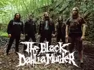 Immagine di The Black Dahlia Murder