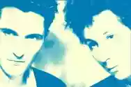 Immagine di The Dolphin Brothers