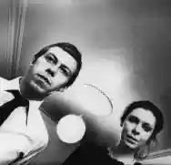 Immagine di The Flying Lizards