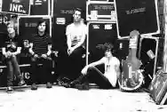 Immagine di The (International) Noise Conspiracy