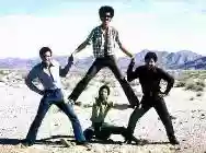 Immagine di The Meters