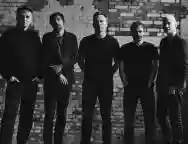 Immagine di The Pineapple Thief