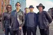 Immagine di The Wallflowers