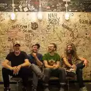 Immagine di Turin Brakes