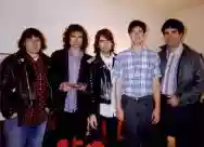 Immagine di The Young Fresh Fellows