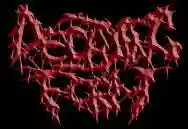 Immagine di Decaying Form