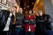 Immagine di The Qemists