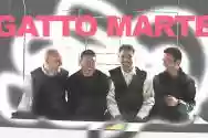 Immagine di Gatto Marte