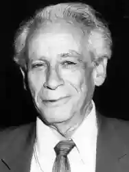 Immagine di Samuel Fuller