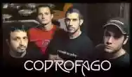 Immagine di Coprofago