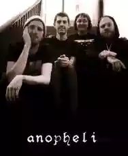 Immagine di Anopheli