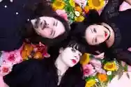 Immagine di The Stargazer Lilies