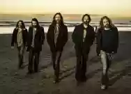 Immagine di Chris Robinson Brotherhood