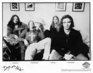 Immagine di Days of the New