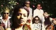 Immagine di Dengue Fever