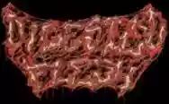 Immagine di Digested Flesh
