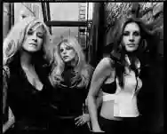 Immagine di Dixie Chicks