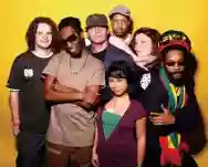 Immagine di Easy Star All-Stars
