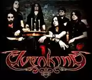 Immagine di Elvenking