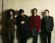 Immagine di Acoustic Ladyland