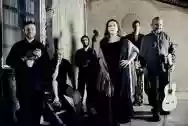 Immagine di Acustimantico