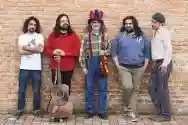 Immagine di Folkabbestia
