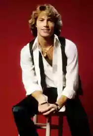 Immagine di Andy Gibb