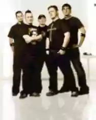 Immagine di Insane