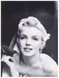 Immagine di Marilyn Monroe