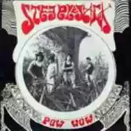 Immagine di Steeplejack