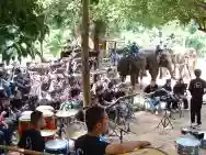 Immagine di Thai Elephant Orchestra