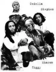 Immagine di Ziggy Marley & The Melody Makers