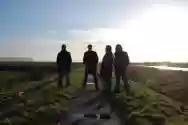 Immagine di Fen
