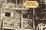 Immagine di Bronco