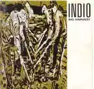Immagine di Indio