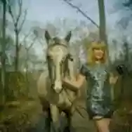 Immagine di Appaloosa