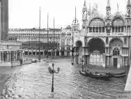Immagine di Serenella