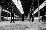 Immagine di Fall Out