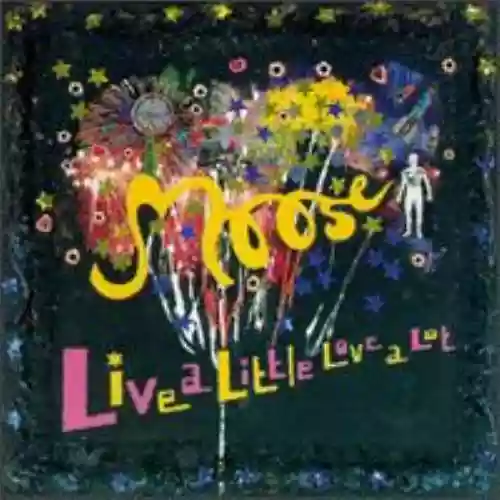 Cover di Live a Little Love a Lot