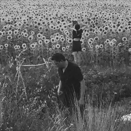 Cover di Jesu/Sun Kil Moon