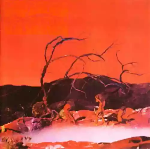 Cover C.A. Quintet - Trip Thru Hell