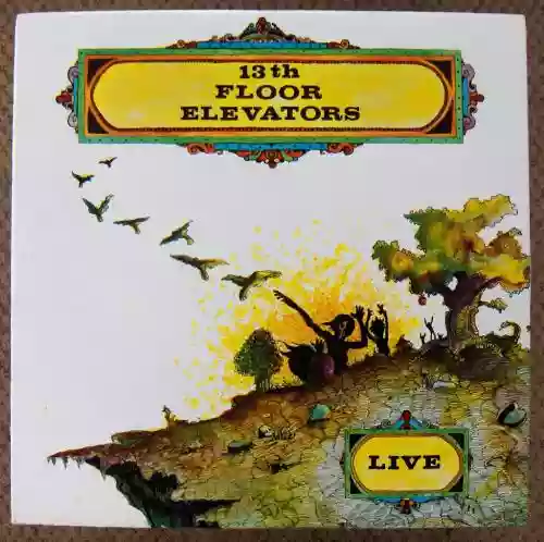 Cover The 13th Floor Elevators - Live