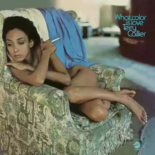Cover Terry Callier - What Color Is Love