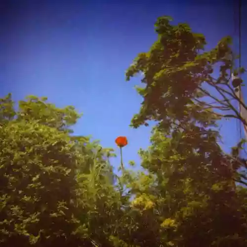 Cover Benoît Pioulard - Sonnet