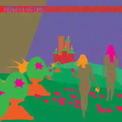 Cover The Flaming Lips - Space Oddity